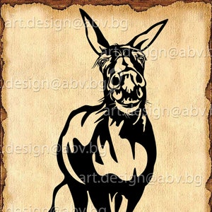 Vector DONKEY, Download, Digital image, graphical, AI, PNG, eps, pdf, svg, dxf, jpg, farm, animal, discount coupons
