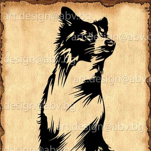 Vector DOG, Border Collie, AI, png, pdf, eps, svg, dxf, jpg Download, Digital image, graphical, animal, discount coupons