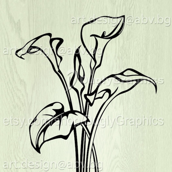 Vector CALLA, AI, eps, pdf, png, svg, dxf, jpg Download files, Digital, graphical, discount coupons, kala flower