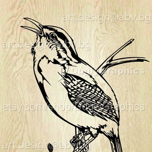 Puede incluir: Ilustración en blanco y negro de un pájaro posado en una rama. El pájaro está mirando hacia la derecha y tiene el pico abierto como si estuviera cantando. El pájaro tiene una cola larga y está detallado con plumas.