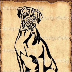 Vector DOG, boxer, SVG, DXF, ai, png, pdf, eps, jpg Download, Digital image, graphical, animal, discount coupons