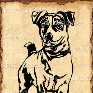 Vector JACK RUSSELL Terrier, dog, SVG, ai, png, pdf, eps, dxf, jpg Download, Digital image, graphical, animal, discount coupons