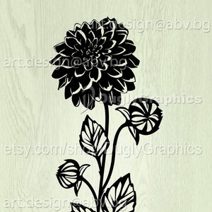 Chrysanthemum Vector Art: Floral SVG, PNG, PDF (Digital Download)