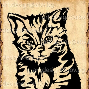 Vector CAT, AI, PNG, eps, pdf, svg, dxf, jpg Download files, Digital, graphical, baby pet, discount coupons