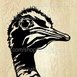 Vector OSTRICH, bird, AI, PNG, pdf, eps, svg, dxf, jpg Download, Digital image, graphical, animal, discount coupons