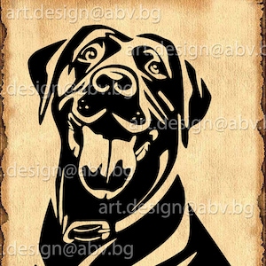 Imagem vetorial de cachorro Labrador (download digital)