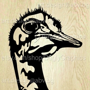 Vector OSTRICH, bird, AI, PNG, pdf, eps, svg, dxf, jpg Download, Digital image, graphical, animal, discount coupons