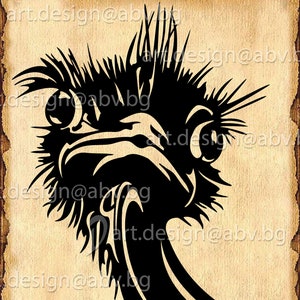 Vector OSTRICH, bird, AI, PNG, pdf, eps, svg, dxf, jpg Download, Digital image, graphical, animal, discount coupons