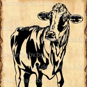 Vector COW, Holstein, AI, PNG, eps, pdf, svg, dxf, jpg Instant Download, Digital image, graphical image Art Print, animal, Printable