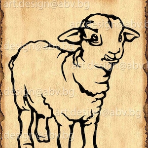 Vector SHEEP, baby, AI, PNG, eps, pdf, svg, dxf, jpg Instant Download, graphical image Art Print, animal, Digital image