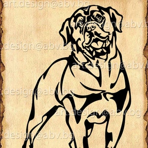 Vector DOG, Rottweiler, AI, png, pdf, eps, svg, dxf, jpg Download, Digital image, graphical, animal, discount coupons