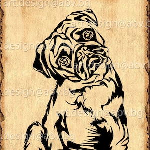 Vector PUG, dog, mops, SVG, AI, png, pdf, eps, dxf, jpg Download, Digital image, graphical, animal, discount coupons