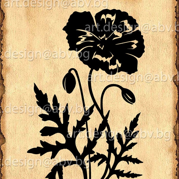 Vector FLORA, poppy, AI, eps, png, pdf, svg, dxf, jpg Download, Digital image, graphical image, discount coupons