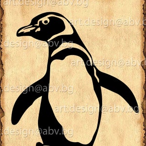 Vector PINGUN, AI, eps, pdf, png, svg, dxf, jpg downloaden, digitaal beeld, grafische afbeelding, svg-pinguïn, kortingsbonnen