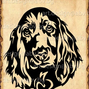 Vector COCKER SPANIEL, dog head, pet, ai, eps, SVG, dxf, pdf, png, jpg Download, Digital image, graphical, animal, discount coupons