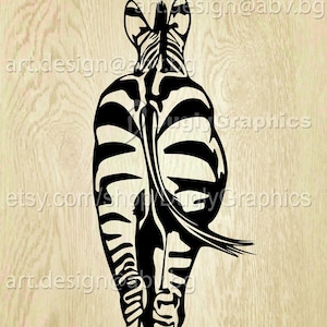 Vector ZEBRA back, AI, eps, pdf, SVG, dxf, png, jpg Download, Digital image, graphical image, discount coupons
