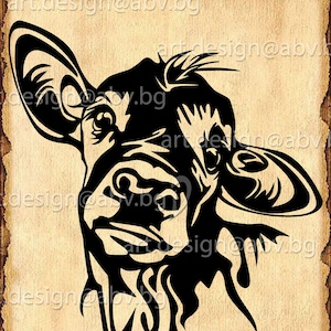Vector COW, calf, head, AI, PNG, eps, pdf, svg, dxf, jpg graphical Art Print, heifer funny