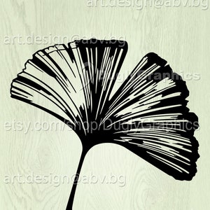 Vecteur de feuille de ginkgo : illustration botanique (téléchargement numérique)