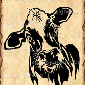 Vector HOLSTEIN calf, cow, head, AI, PNG, eps, pdf, svg, dxf, jpg Instant Download, Art Print, svg, coupons