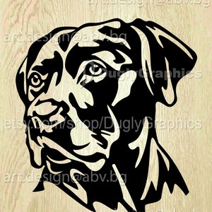 Vector DOG, Labrador Retriever, AI, eps, pdf, svg, dxf, png, jpg Download, Digital image, graphical, animal, discount coupons