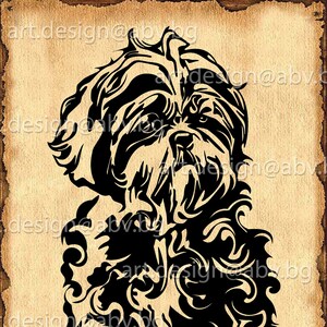 Vector POODLE, dog, SVG, AI, png, pdf, eps, dxf, jpg Download, Digital image, graphical, animal, discount coupons