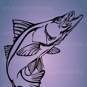 Vector SNOOK FISH, ai, eps, pdf, png, svg, dxf, jpg afbeelding afbeelding digitale download artwork, grafisch, kortingsbonnen