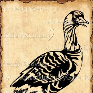 Vector HAWAIIAN GOOSE NENE, svg, ai, eps, pdf, png, dxf, jpg Image Graphic Digital Download Artwork, graphical, discount coupons