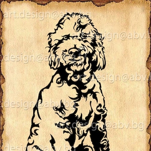 Vector DOG, goldendoodle, svg pet body, AI, PNG, eps, pdf, svg, dxf, jpg Instant Download, Santa dog, santa pet