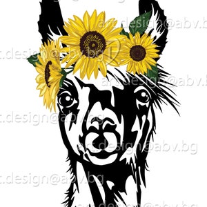 Vector LLAMA con girasoles, alpaca, cabeza, AI, PNG, eps, pdf, svg, dxf, jpg Descarga instantánea, Impresión artística, svg llama con girasol
