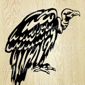 Vector VULTURE, AI, PNG, pdf, eps, svg, dxf, jpg Download, Digital image, graphical, bird
