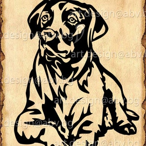 Vector DOG, sitting Labrador Retriever, AI, eps, pdf, svg, dxf, png, jpg Download, Digital image, animal body drawing, discount coupons