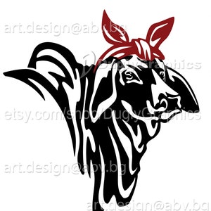 Vector COW brahman with bandana, AI, PNG, eps, pdf, svg, dxf, jpg Instant Download, graphical image Art Print, Digital image