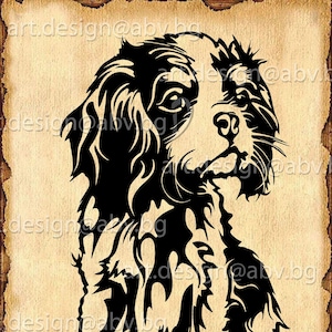 Vector DOG King Charles Cavalier, ai, eps, pdf, svg, dxf, png, jpg Download, Digital image, graphical, animal, Poodle, discount coupons