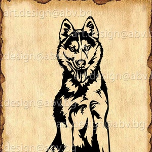 Vector DOG, husky, SVG, DXF, ai, png, pdf, eps, jpg Download, Digital image, graphical, animal, pet, discount coupons
