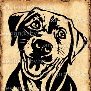 Vector DOG, Labrador, AI, eps, pdf, svg, dxf, png, jpg Download, Digital image, graphical, animal, discount coupons