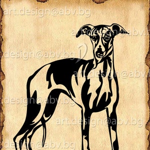 Vector DOG,  whippet, SVG, DXF, ai, png, pdf, eps, jpg Download, Digital image, graphical, animal, discount coupons