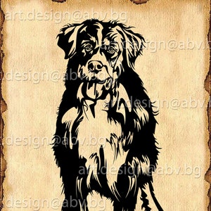 Vector DOG, bernese mountan, AI, png, pdf, eps, svg, dxf, jpg Download, Digital image, graphical, animal, discount coupons