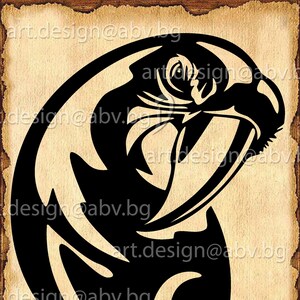Vector PARROT, AI, eps, pdf, SVG, dxf, png, jpg Download, Digital image, graphical, discount coupons