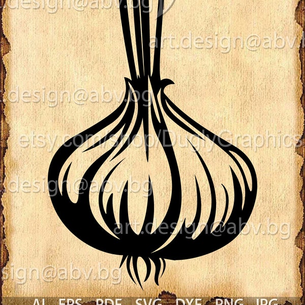 Vector ONION drawing ai, eps,pdf, png, dxf, svg, jpg Image Graphic Digital Download Artwork, discount coupons