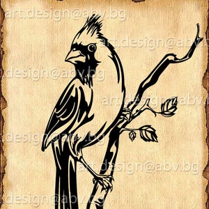 Vector BIRD, AI, eps, pdf, SVG, dxf, png, jpg downloaden, digitaal beeld, grafisch, kardinaal svg, kortingsbonnen