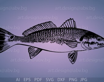 Download Redfish Svg Etsy