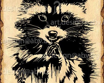 Free Free Baby Racoon Svg 497 SVG PNG EPS DXF File