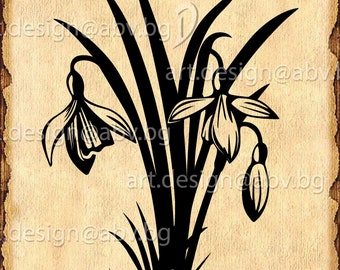 Free Free 233 Snowdrop Svg SVG PNG EPS DXF File