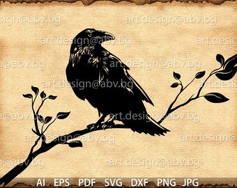 Raven Drawing Etsy - vector bird raven ai eps pdf png svg dxf jpg files download digital image graphical animal bird discount coupons