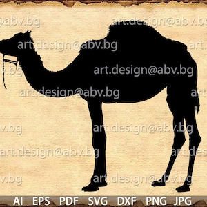 Vector CAMEL, AI, PNG, eps, pdf, svg, dxf, jpg Download, Digital image, graphical, dhole, animal, discount coupons