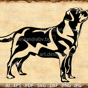 Vector DOG, Labrador Retriever, AI, eps, pdf, svg, dxf, png, jpg Download, Digital image, graphical, animal body, discount coupons