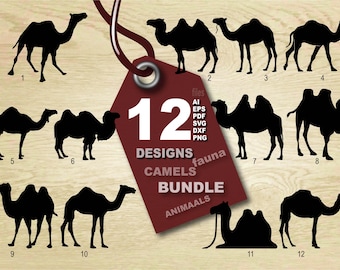 Clipart vettoriali di cammelli, pacchetto di grafica animale (download digitale)