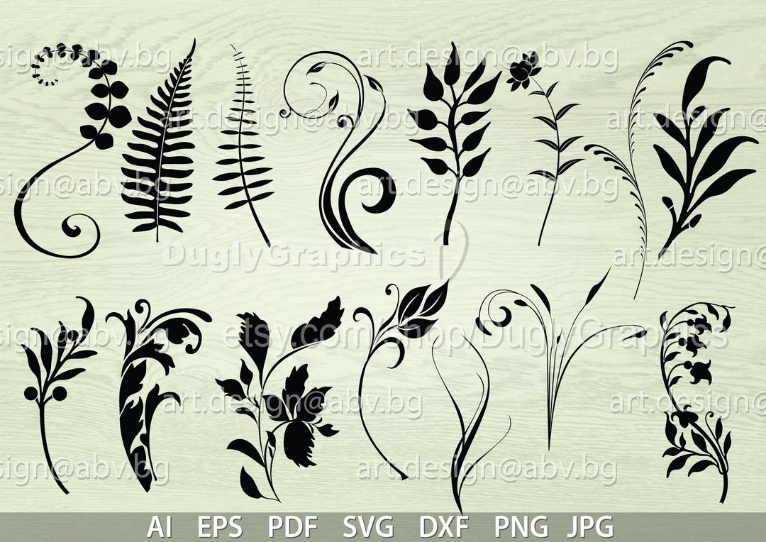 Floral Vector Bundle: 15 Botanical Designs (digital Download) - Etsy