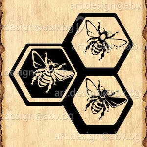 Vector BEES, beehive, ai, eps, pdf, SVG, DXF, png, jpg Download, Digital image, graphical, discount coupons