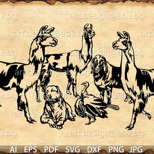 Vector ANIMAL FARM llama goat dog tutkey ai eps pdf svg dxf png jpg Download Digital image graphical text